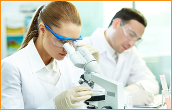 Two Scientist Doing Research